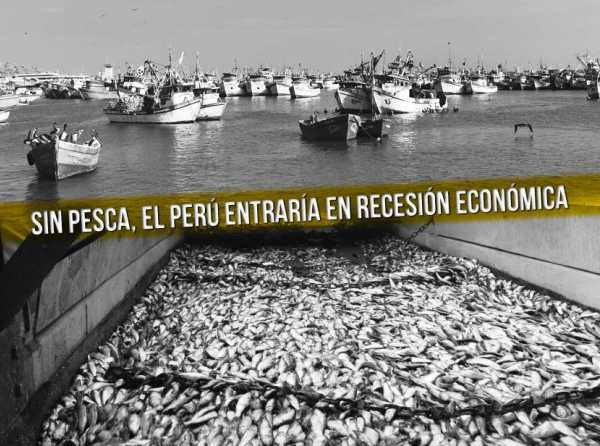 ¡Segunda temporada de pesca, ya!