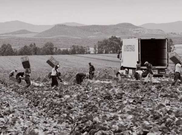 El crimen social de haber eliminado la flexibilidad laboral en el campo