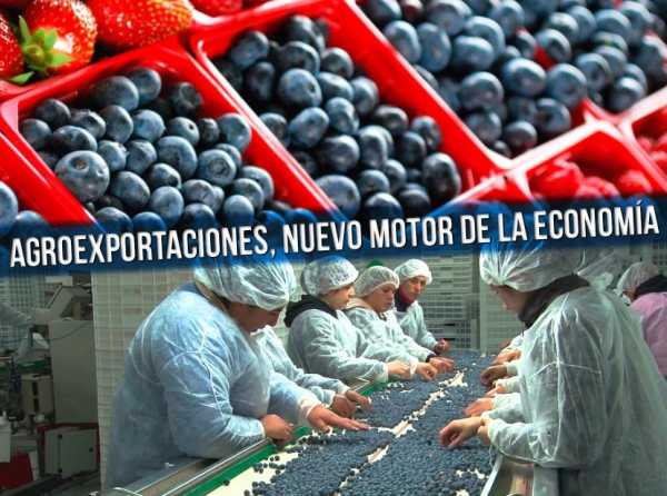 Exportaciones agrarias, nuevo motor de la economía