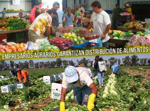 Empresarios agrarios garantizan distribución de alimentos