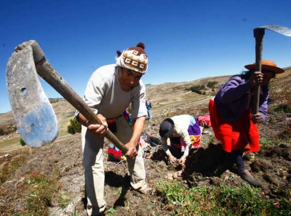 El Legislativo contra el sector agrario