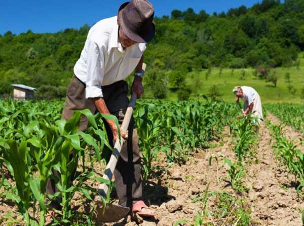 ¡Agro necesita estabilidad por 30 años! 