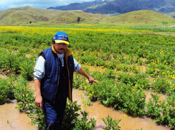 El boom agrario debe continuar