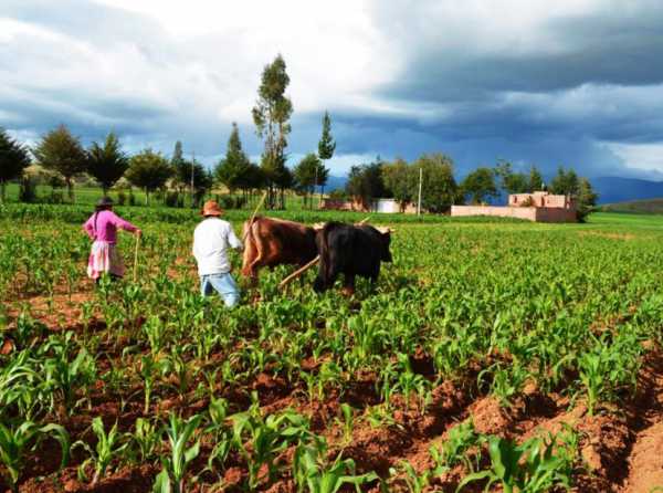 ¡Ampliar vigencia de Ley de Promoción Agraria!