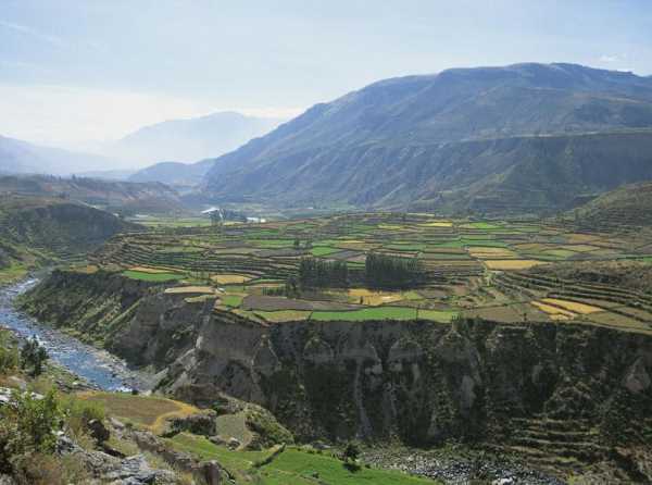 La minería sí mejora el medio ambiente