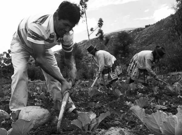 Peligra el crecimiento del campo