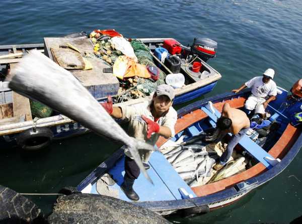 Pescadores no temen inversiones en hidrocarburos