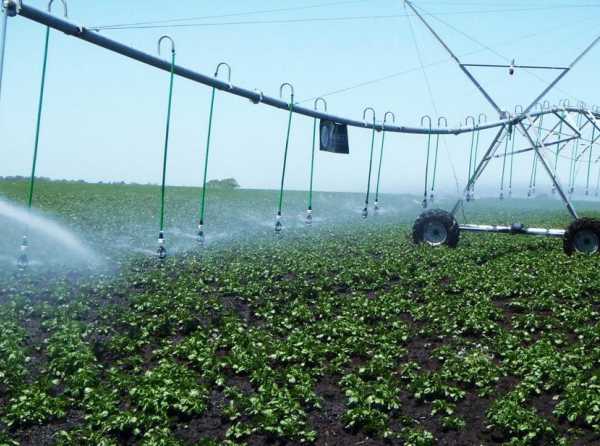 Agua para combatir la pobreza