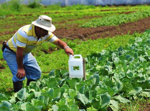 Inversiones agrícolas siguen creciendo