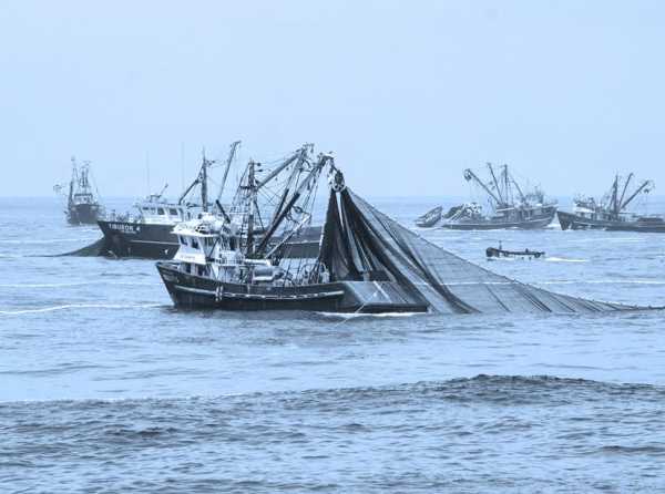 Reducen derechos de pesca