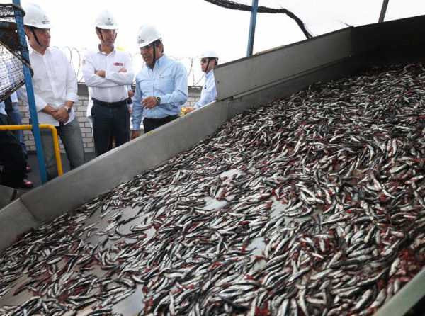 La pesca industrial otra vez bajo ataque  