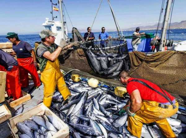 Pesca peruana: viento en popa