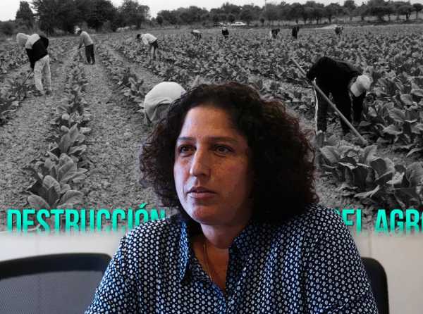 Más Estado y más minifundio destruyen agro