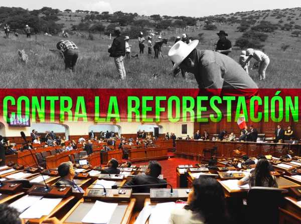 Izquierda en contra de la reforestación