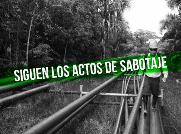 ¿Qué pasa en la selva petrolera?