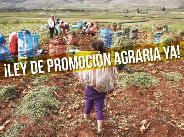 ¡Ampliar vigencia de Ley de Promoción Agraria!