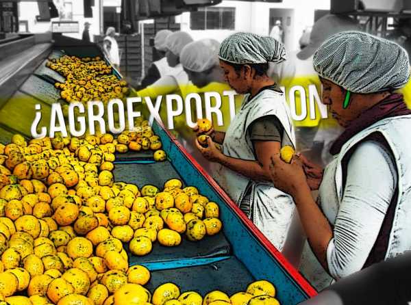 ¿Se detienen las agroexportaciones?