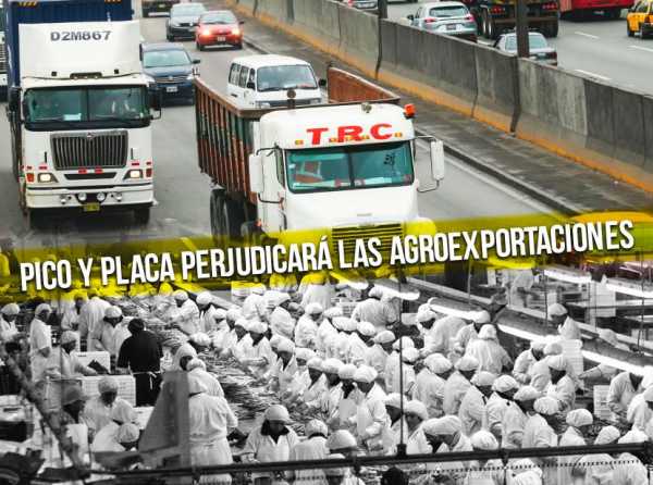 Pico y Placa perjudicará las agroexportaciones