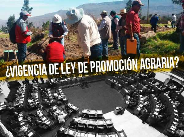 ¿Cuándo se amplía vigencia de Ley de Promoción Agraria?