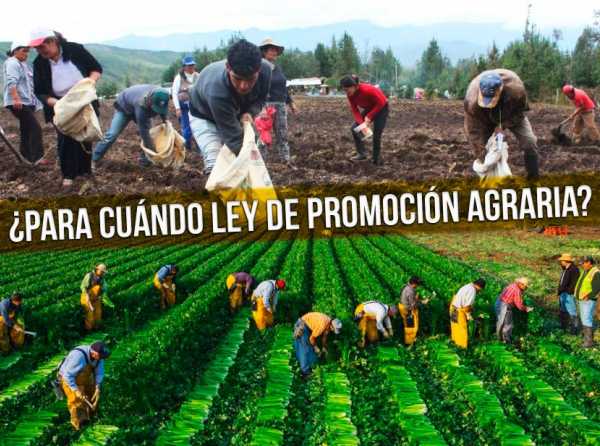 Es hora de promulgar Ley de Promoción Agraria 