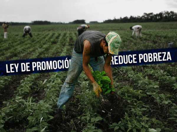 Ley de Promoción Agraria reduce pobreza