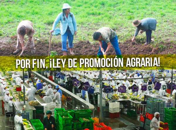 Por fin, ¡Ley de Promoción Agraria!