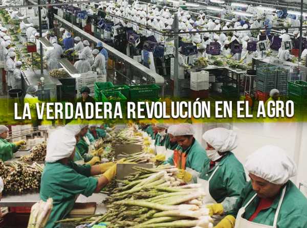 La verdadera revolución en el agro