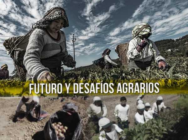 Futuro y desafíos agrarios