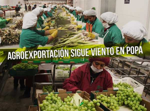 Agroexportación sigue viento en popa