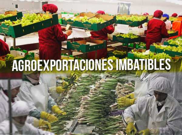 Frutas y hortalizas: agroexportaciones imbatibles