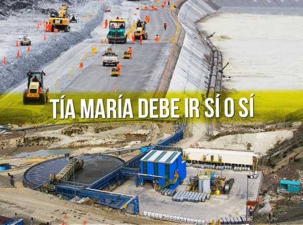 Tía María debe ir sí o sí