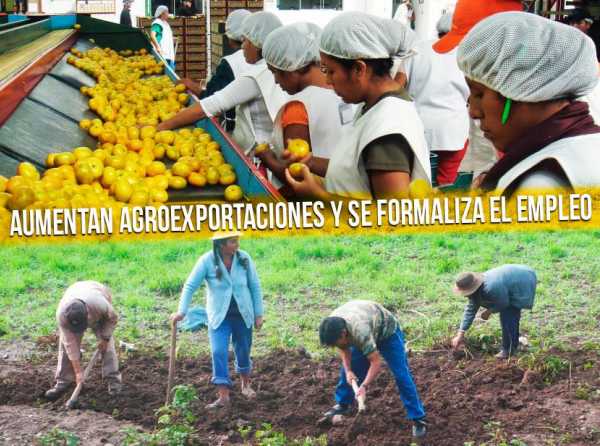 Ley de Promoción Agraria debe ser la base de la gran reforma