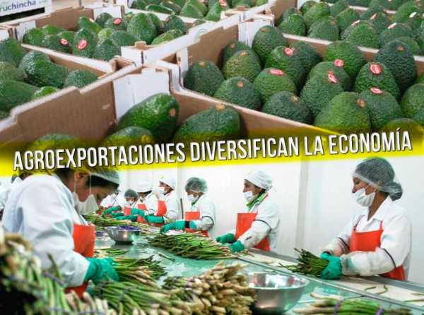 Agroexportaciones diversifican la economía