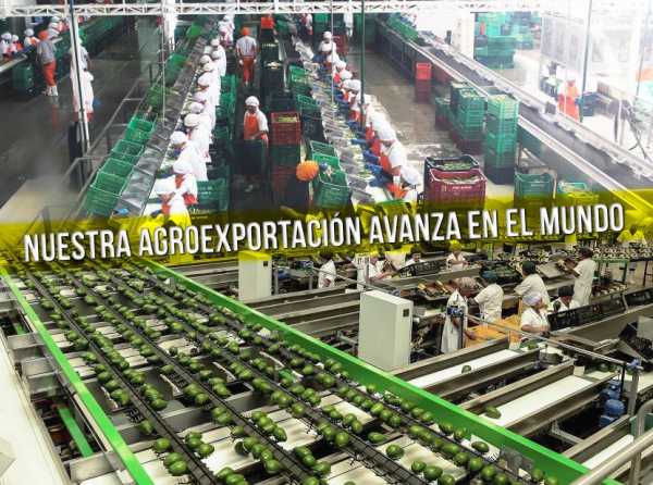 Nuestra agroexportación avanza en el mundo