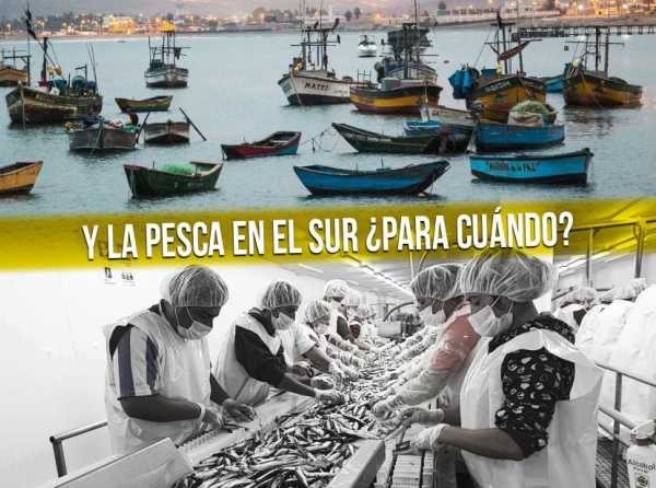 Y la pesca en el sur ¿para cuándo?