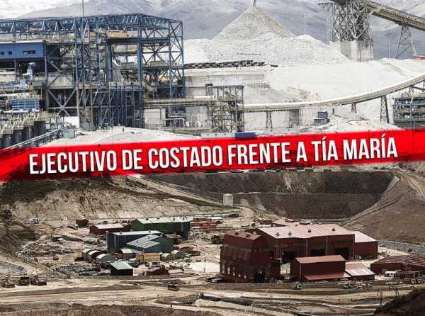 Ejecutivo de costado frente a Tía María