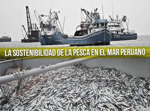 La sostenibilidad de la pesca en el mar peruano