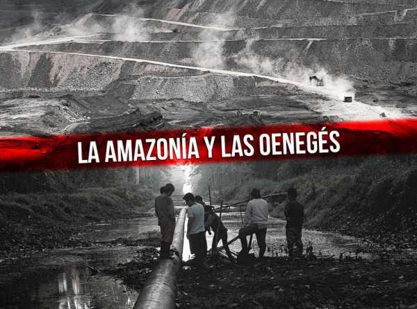 La amazonía y las oenegés