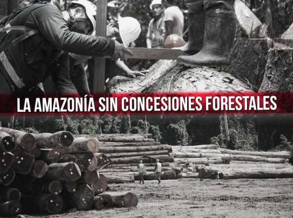 La Amazonía sin concesiones forestales