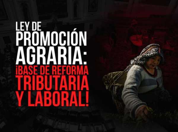 Ley de Promoción Agraria: ¡base de reforma tributaria y laboral!