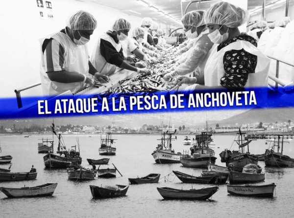 El ataque a la pesca de anchoveta