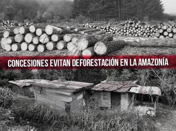 Concesiones evitan deforestación en la Amazonía