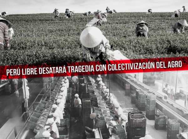 Perú Libre desatará tragedia con colectivización del agro