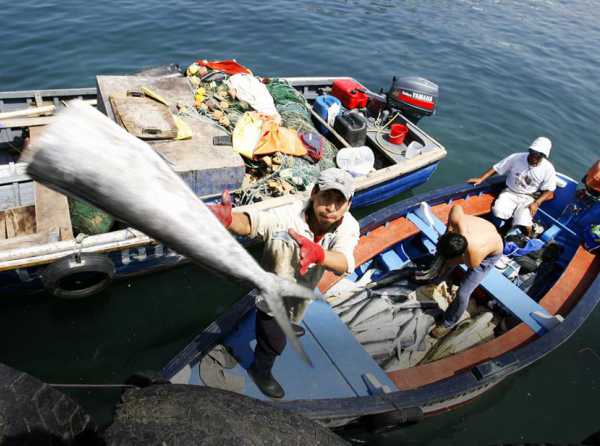 Primera temporada de pesca a la vista