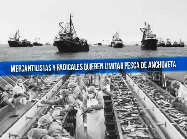 Mercantilistas y radicales quieren limitar pesca de anchoveta