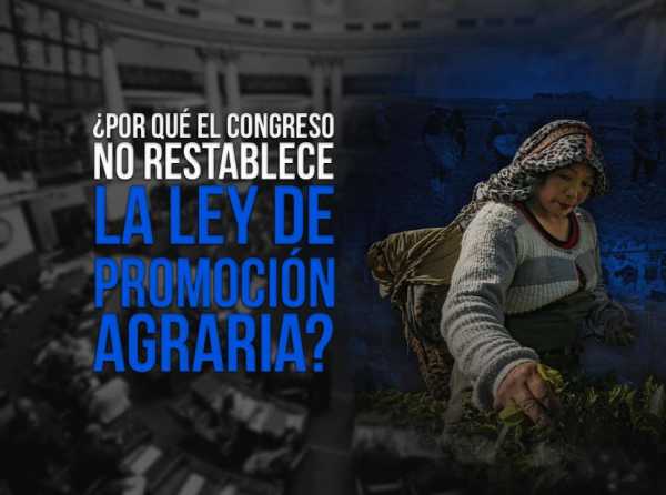 ¿Por qué el Congreso no restablece la Ley de Promoción Agraria?