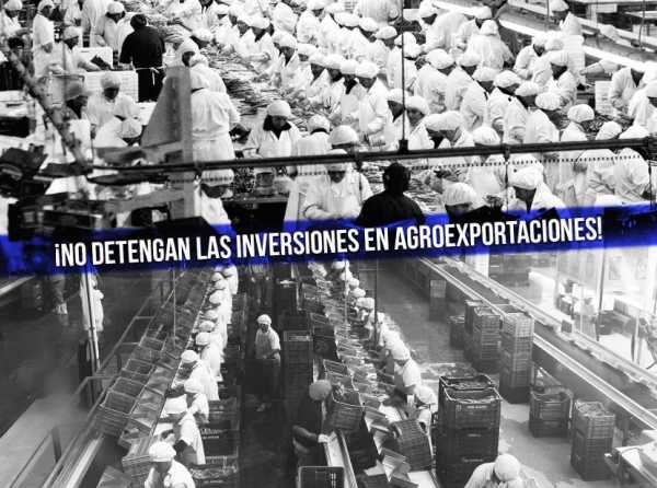 ¡No detengan las inversiones en agroexportaciones!