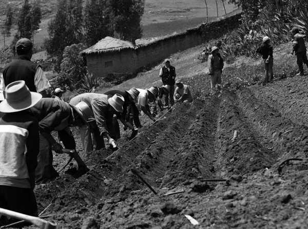 ¡El sector agrario en peligro!