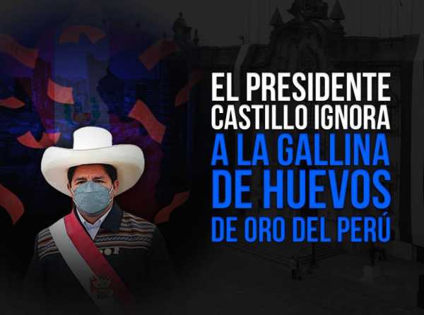 El presidente Castillo ignora a la gallina de huevos de oro del Perú