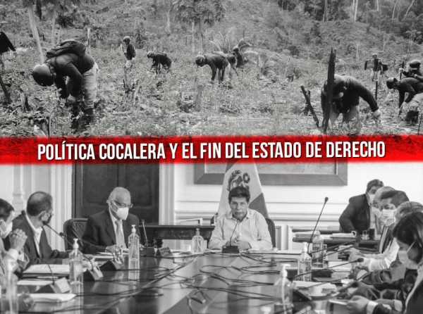 Política cocalera y el fin del Estado de derecho